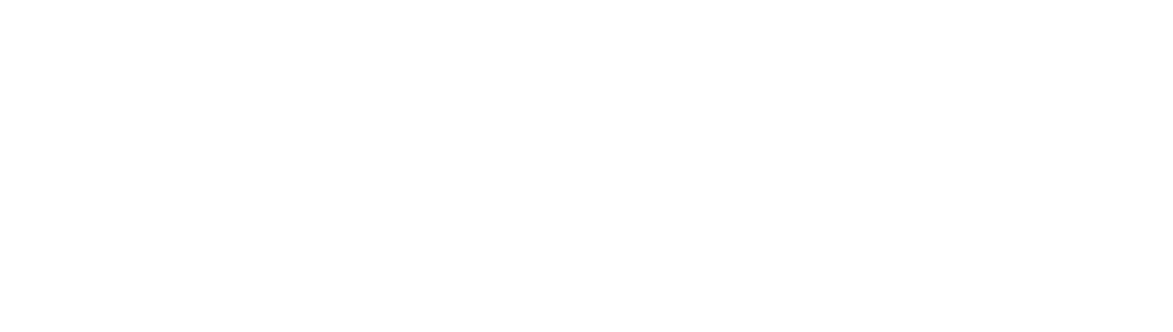 Actioneers